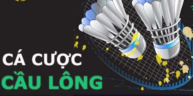 Cách Chơi Cá Cược Cầu Lông Tại Win55 Hiệu Quả Nhất 2 Cách Chơi Cá Cược Cầu Lông Tại Win55 Hiệu Quả Nhất