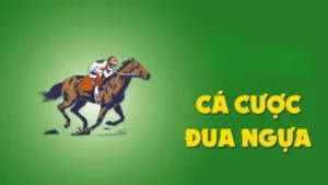 Tìm Hiểu Cá Cược Đua Ngựa Win55 Với Luật Chơi Độc Đáo Hấp Dẫn 4 Tìm Hiểu Cá Cược Đua Ngựa Win55 Với Luật Chơi Độc Đáo Hấp Dẫn