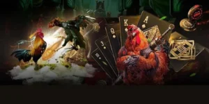Cách Chơi Đá Gà GA28 Tại Win55 Chi Tiết Dành Cho Người Mới 2 Cách Chơi Đá Gà GA28 Tại Win55 Chi Tiết Dành Cho Người Mới