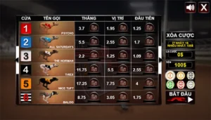 Cách Chơi Game Nhanh Đua Chó Tại Win55 Chi Tiết Hiệu Quả 1 Cách Chơi Game Nhanh Đua Chó Tại Win55 Chi Tiết Hiệu Quả