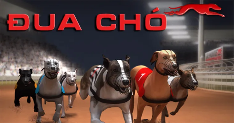 Cách Chơi Game Nhanh Đua Chó Tại Win55 Chi Tiết Hiệu Quả 2 Cách Chơi Game Nhanh Đua Chó Tại Win55 Chi Tiết Hiệu Quả